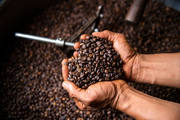 Biji kopi berkualitas datang dari pemanennya, Sumber: treatt.com