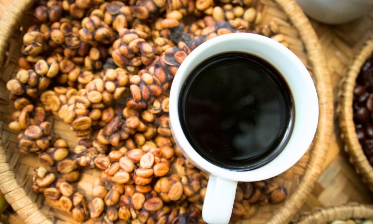 Panduan konsumsi luwak kopi, Sumber: specialtycoffee.id
